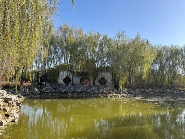 现在就出发，慢跑曲沃，邂逅不期而遇的冬日美好~