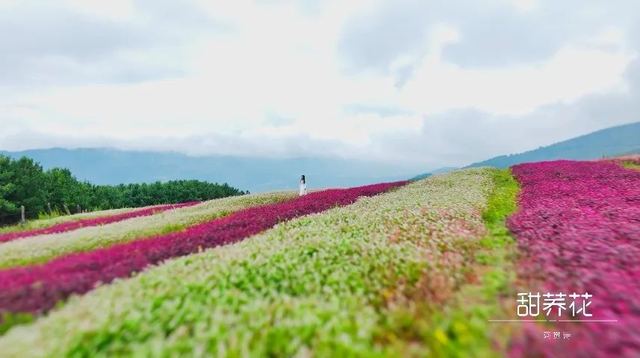 逃离热浪！我选西昌作为我的“解药”