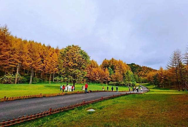 2025四川红叶观赏指数发布：曾家山达Ⅲ级 漫山红焰邀您赴秋约