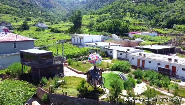 夏日特辑|体验葡萄架下的甜蜜慢生活,秦皇岛葡园采摘与红酒品鉴两日游线路!