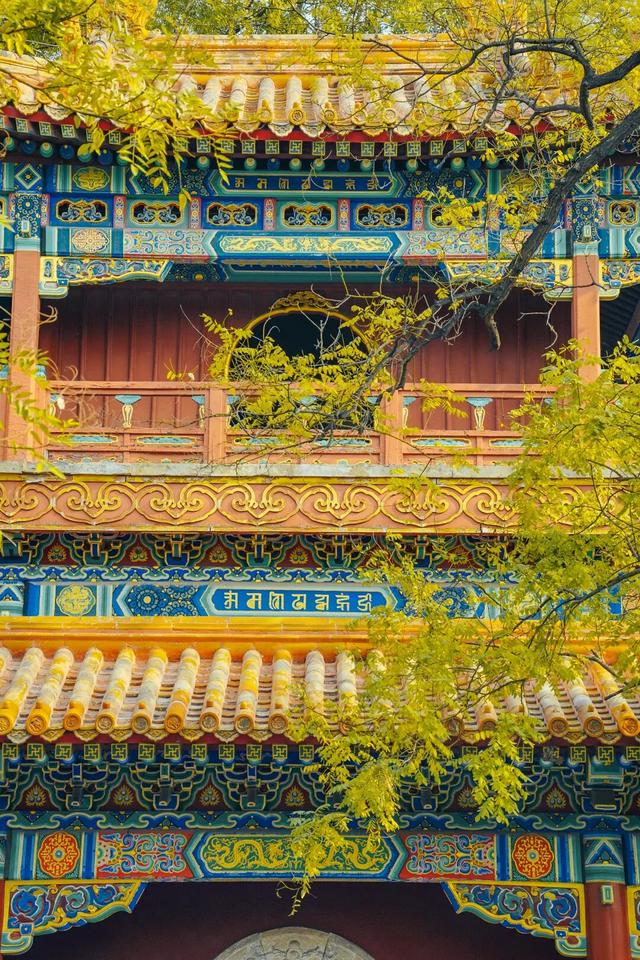 十月最想去的地方，已经开始期待它华丽变身了
