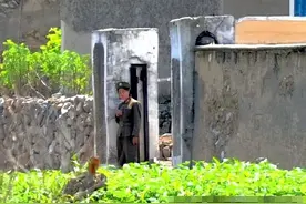 在朝鲜，一人犯罪三代受罚。图片