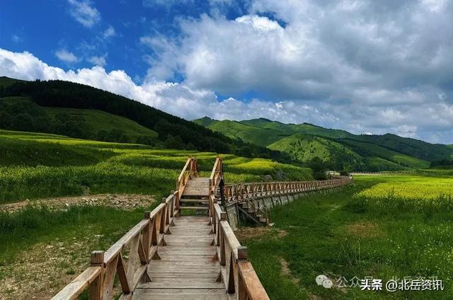 浑源县东葫芦头村：油菜花海引客来 清凉乡村醉游人