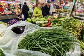 “春菜自由”来了！乌市时令春野菜走俏市场图片