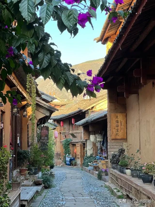 和老伴去云南大理住了俩月，我实话实说：跟网上说的不太一样