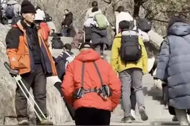 爬泰山也能开“外挂”了！本届脆皮打工人表示服气图片