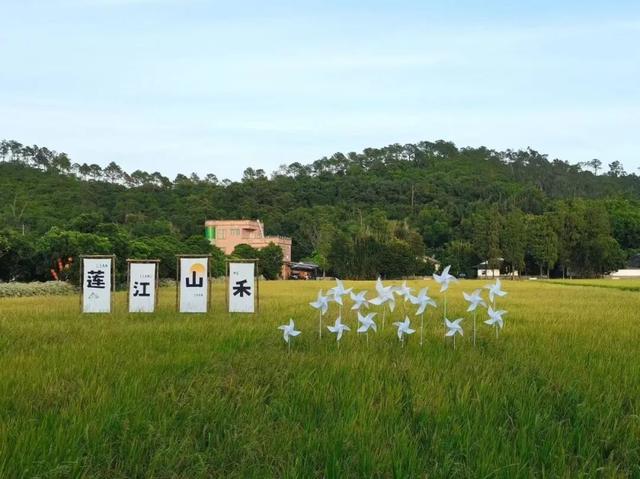 春节没玩够？这个周末游乡村，为快乐“续费”