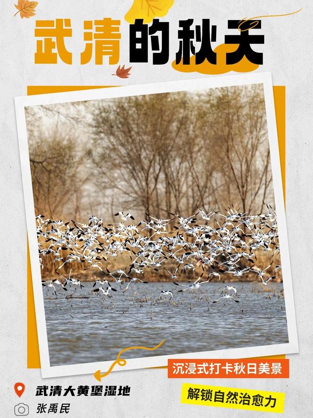 嗨，你的秋天留住了吗？