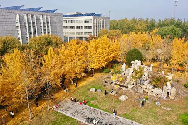 河北经贸大学2025金秋银杏节11月8日盛大开幕