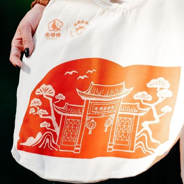 激情一夏，狂欢FUN光明！“2025华侨城旅游狂欢节光明分会场”正式拉开帷幕