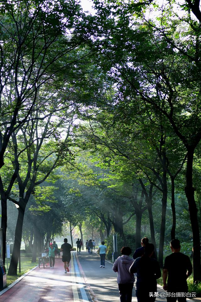 达活泉公园绿草如茵，碧波荡漾（图）
