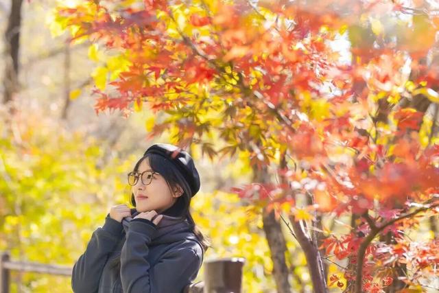 抱犊崮入选山东金秋醉美红叶观赏地