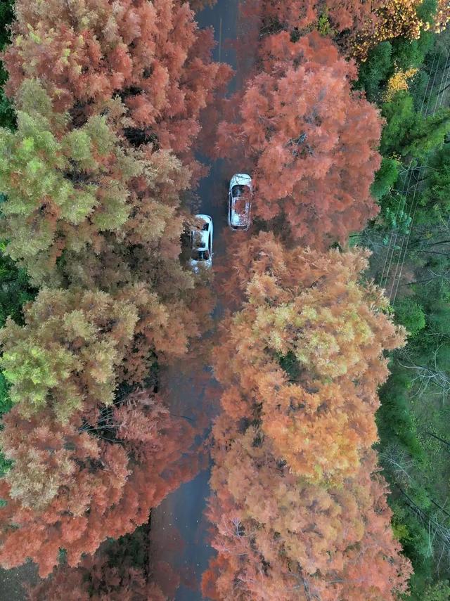 初冬时节红石梁迎来最美打卡季