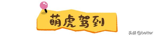 不出武汉，玩转真实版「疯狂动物城」