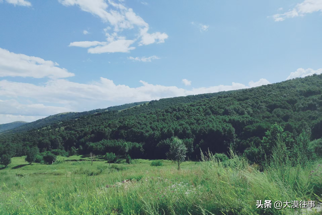 【原创】说走就走，草原行（五）