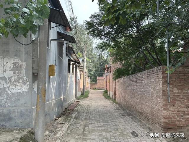 冠县乡韵·辛集镇丁刘八寨