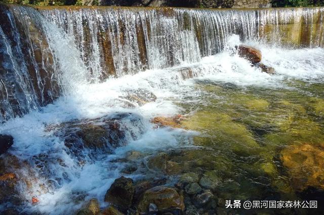 夏末秋初送清凉，来自黑河国家森林公园的惊喜等你查收~