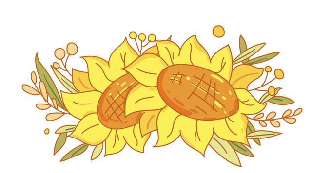 藏不住了！顺义秋日限定花海，安排——
