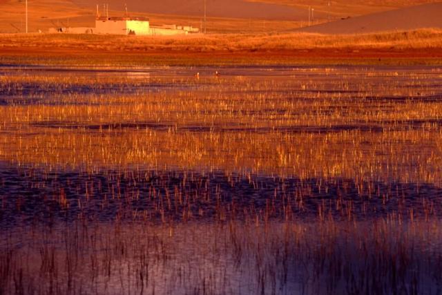 沙漠与湖泊相拥！西藏这片五彩沙丘美到犯规