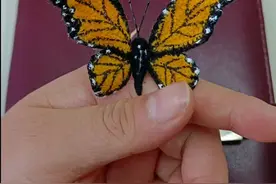 钩织界的扛把子“微钩”，钩出来的蝴蝶和真的一样，栩栩如生！图片