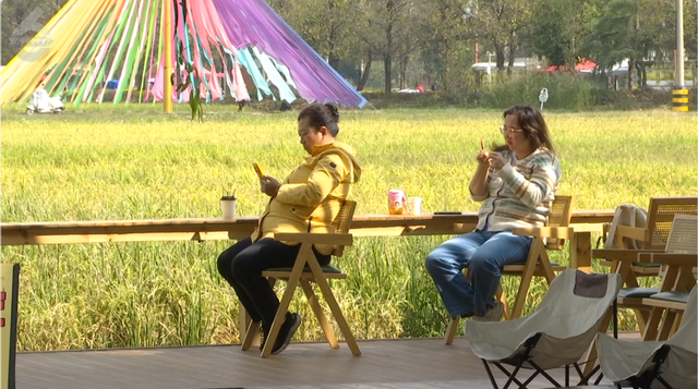 在昆明，藏着冬日里独有的松弛角落