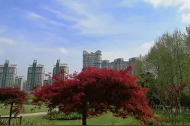 学点《易经》：八卦配天干与地支图片