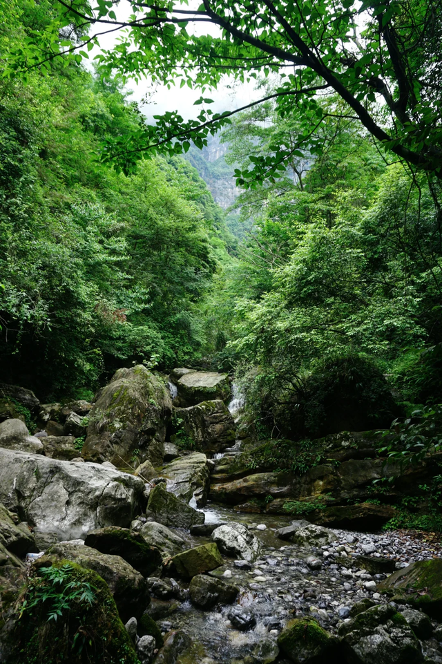 不输大飞水、龙苍沟！成都3h直达悬崖瀑布，人少景美还免费！