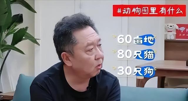 于谦持股公司被恢复执行 111 万，名人关联企业债务风险引关注