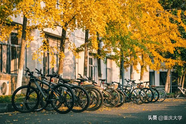 重大限定皮肤上新,超出片!🤳