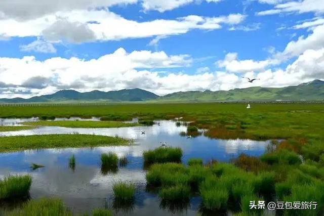 甘南慢行记——草原、寺庙与秘境，一场不走回头路的灵魂之旅