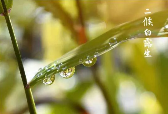 今年立秋“不一般”，有“三大”特点，与往年大不同！早看早准备