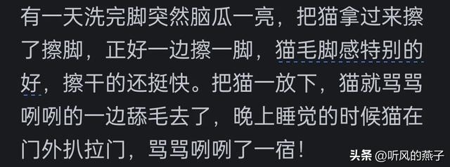 你是否有过把宠物逼的差点说话的时候？网友们的分享，惊呆了