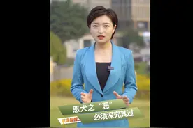 洋洋侃侃 | 恶犬之“恶” 必须深究其过！图片