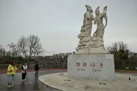 四大展区首揭秘，牡丹名品齐亮相！菏泽牡丹景区精心打造多个牡丹功能区图片