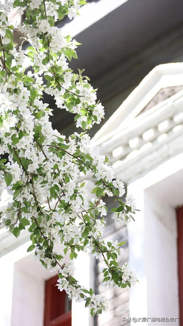 山西大学大同校区官方网站正式上线！