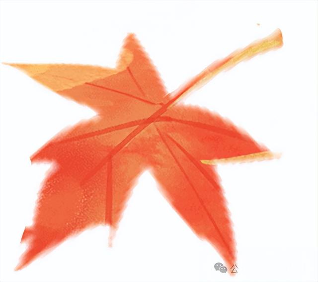 崇州彩林天花板🤩🤩🤩谁还没去过？