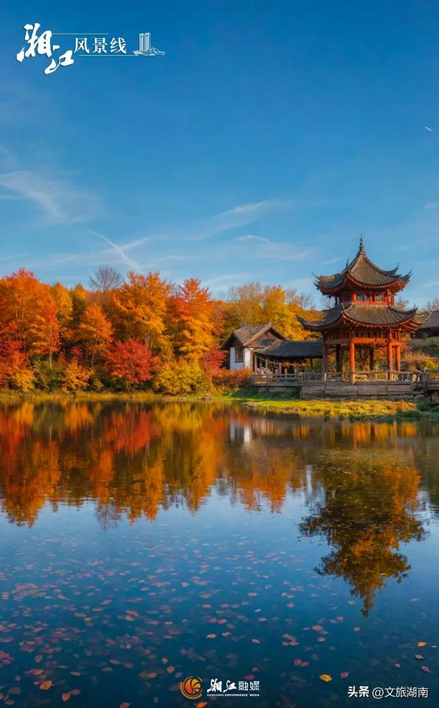 红了！湖南“追枫”地图更新