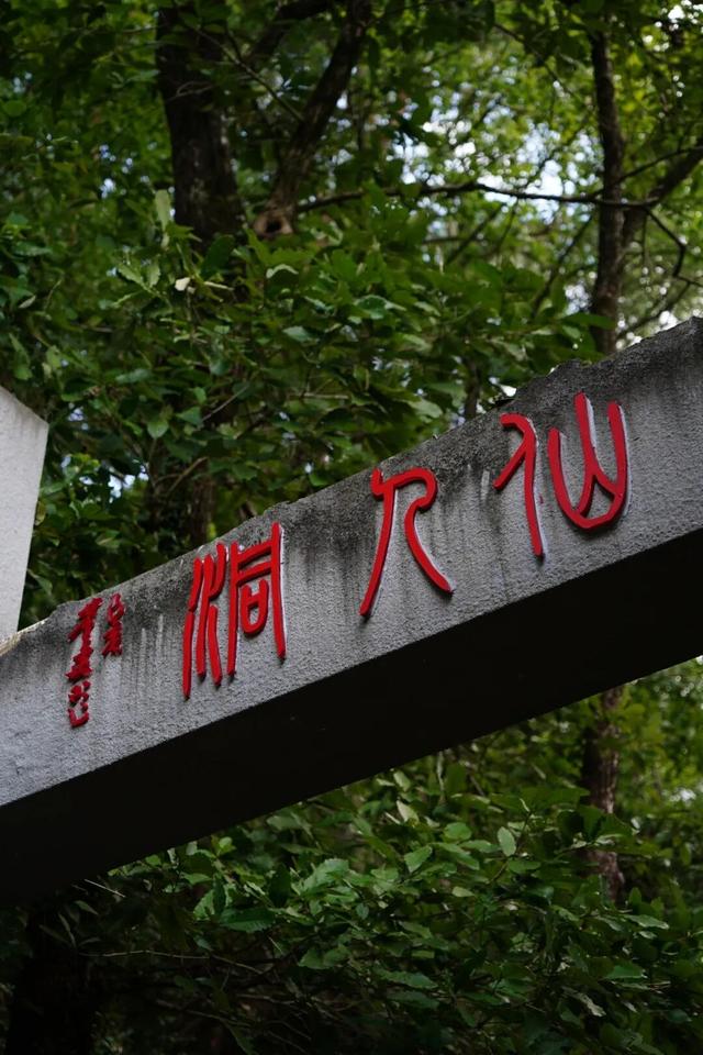 黄山治愈系打卡！20 分钟公园漫游，和“班味”说拜拜 | 皖美冬日 | 第十五届安徽国际文化旅游节