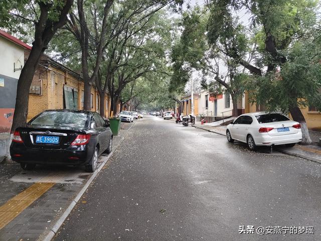 白洋淀之行