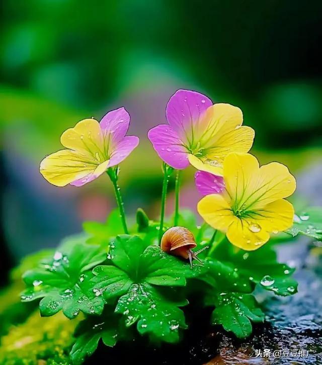 两性关系中，大多数女性害怕五十多岁的男性，原因无非是以下几点