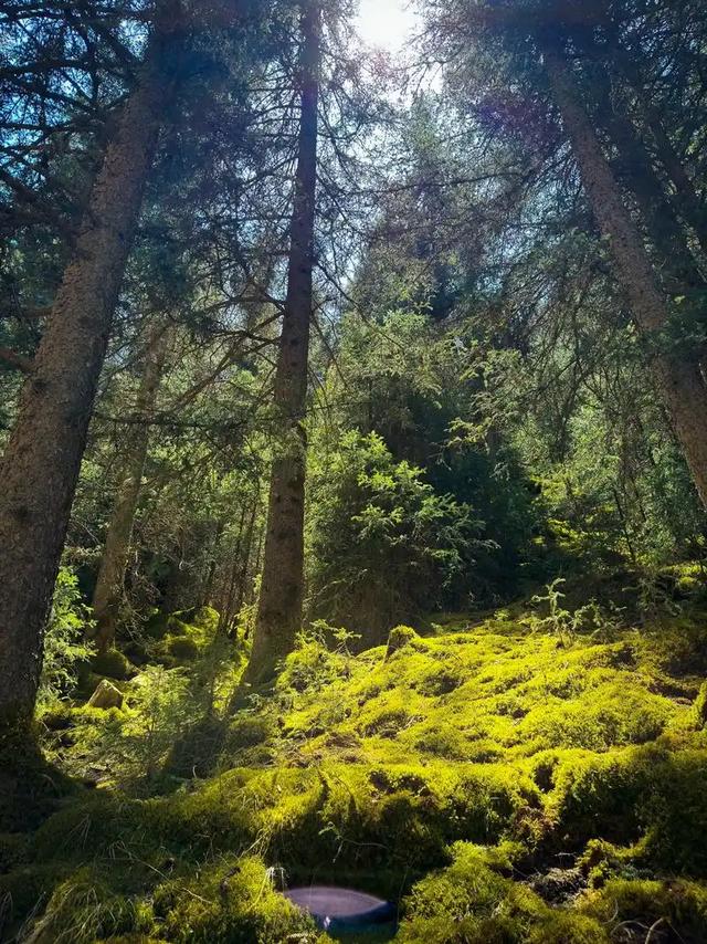 河西走廊中部的焉支山
