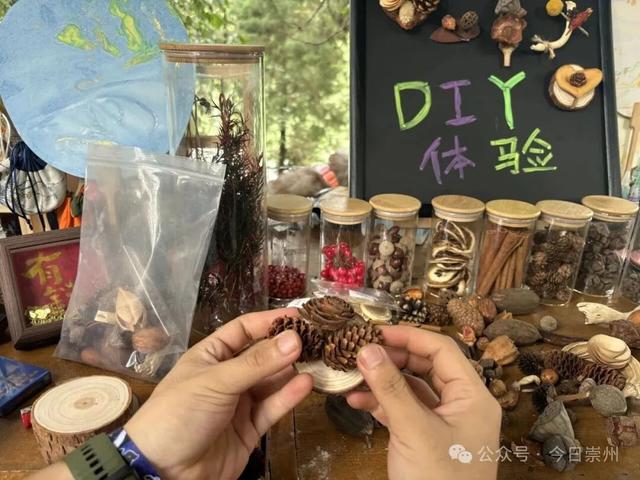 自然、艺术、疗愈......来白塔湖体验“山湖集”