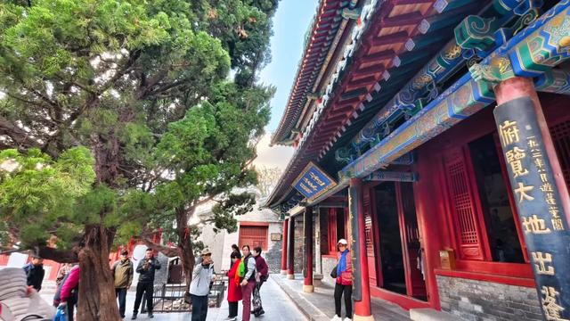 诸君，重阳来此登高赏景可好