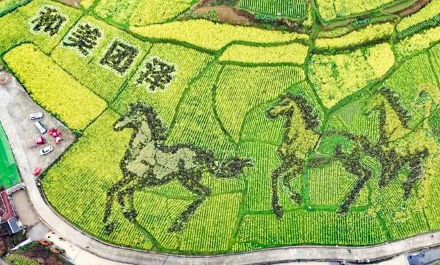 悦遵义·赴春约｜2026遵义春季主题游“1+4+N”玩法全攻略，承包你一整个春天的浪漫