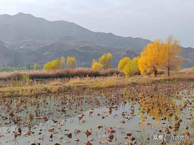 秋日从恐龙地址公园,沿铁路,伴着黄河,徒步至太极岛