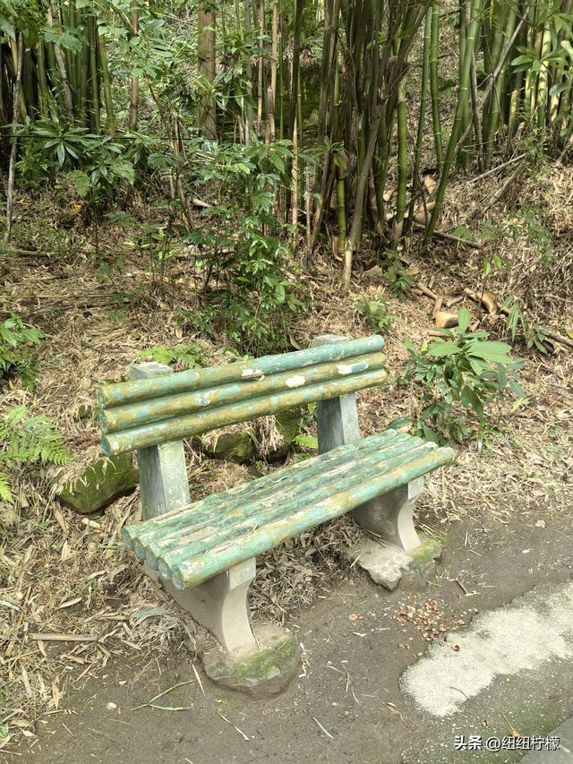 户外徒步之挑战缙云九峰，从健身梯道到狮子峰，走了四小时