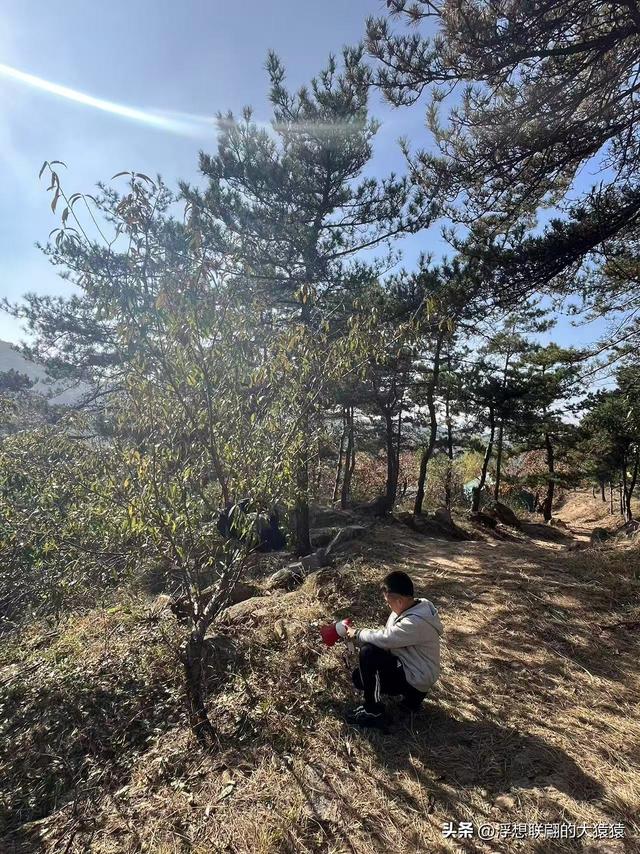 泰安岱岳区曹家庄隐佛崖打山泉水游记