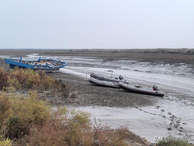 2025辽宁赏秋之旅日记(6)——到辽河口中国最北海岸线看日出 观鸟