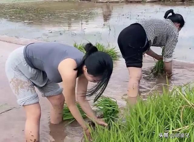 我做代课老师去校长家插秧,他独生女儿问我:你愿意来我家上门吗
