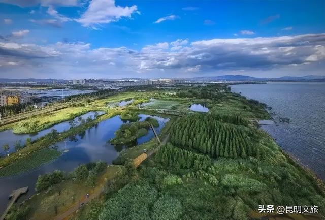 超详细攻略！在昆明官渡，与鸥共舞，六种玩法开启冬日漫游！